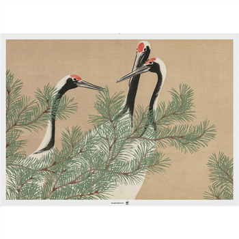 Set de table 31x43cm ASIE - Carton de 2000 unités - Assortiment de 4 modèles