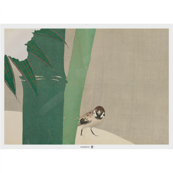 Set de table 31x43cm ASIE - Carton de 2000 unités - Assortiment de 4 modèles