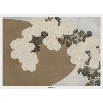 Set de table 31x43cm ASIE - Carton de 2000 unités - Assortiment de 4 modèles