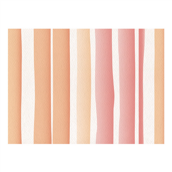 Set de table 31x43cm BAYADERE - Carton de 2000 unités - Assortiment de 4 modèles