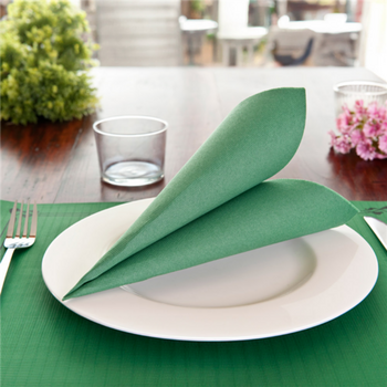 Serviette Double Point® 39x39cm VERT JAGUAR - Carton de 1200 unités