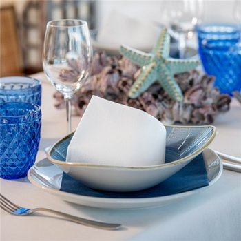 Serviette Soft voie sèche 40x40 cm BLANCHE 45g/m² - carton de 700 unités