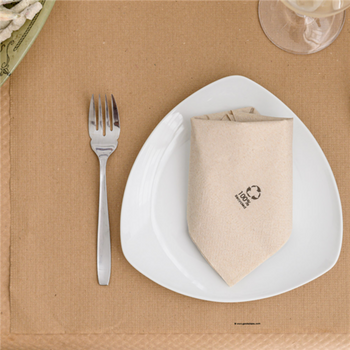 Serviette 2 plis 33x33cm Beige FEEL GREEN - Carton de 2400 unités