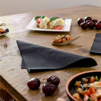 Serviette 2 plis 39x39cm NOIRE - Carton de 1600 unités