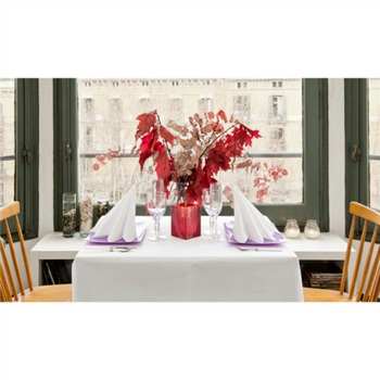 Nappe blanche Aneto en rouleau de 1.20 x 100 m - Carton de 4 rouleaux