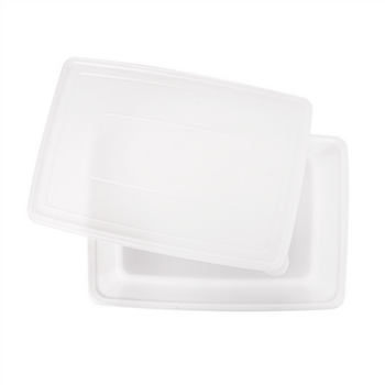 Récipient avec couvercle hermétique 26x18x10cm - 3150ml