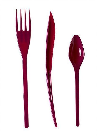 Ménagère élégance AUBERGINE - carton de 720 unités