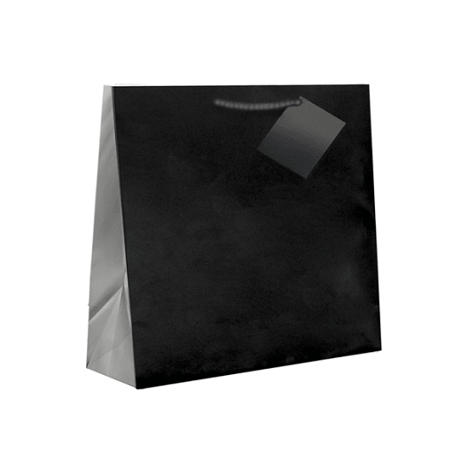 Sac boutique plastifié avec anse 12+7x16cm Noir -  Carton de 100 unités