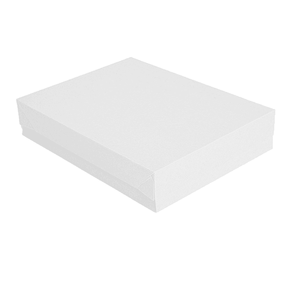 Plateau de transport avec couvercle BLANC 19.5x11x4.5(h) cm - carton de 200 unités