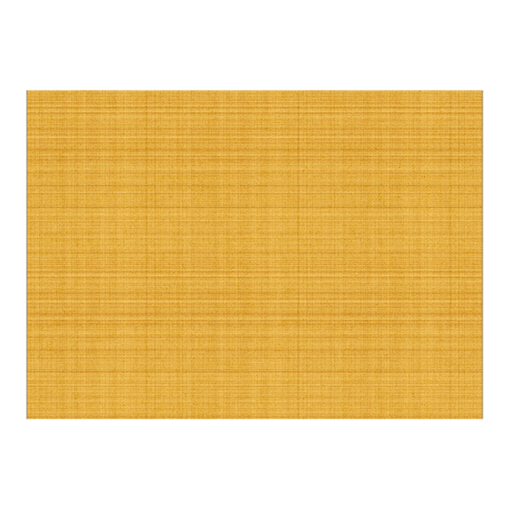 Set de table 30x42cm GINGER - Carton de 2000 unités