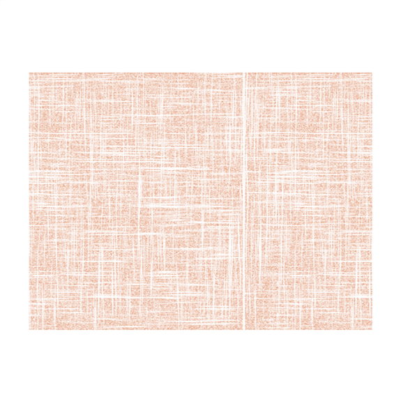 Set de table 30 x 40 cm Spunbond texture imprimée TERRACOTA - carton de 800 unités