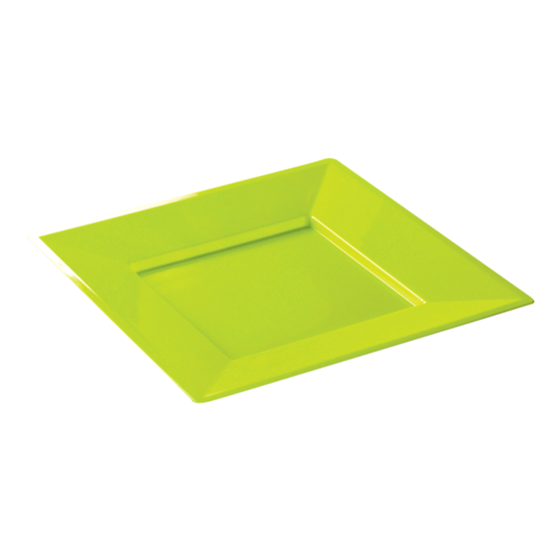 Assiette carrée injectée ANIS 24 x 24 cm réutilisable - Carton de 96 unités