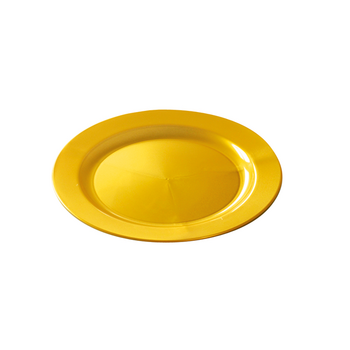 Assiette ronde injectée OR 19 cm réutilisable - Carton de 96 unités