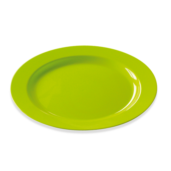 Assiette ronde injectée ANIS 24 cm réutilisable - Carton de 132 unités