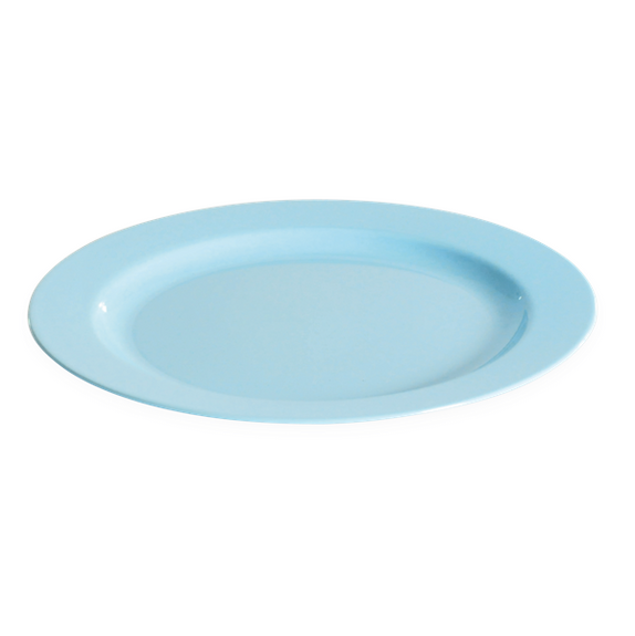 Assiette ronde injectée BLEU CIEL 24 cm réutilisable - Carton de 132 unités