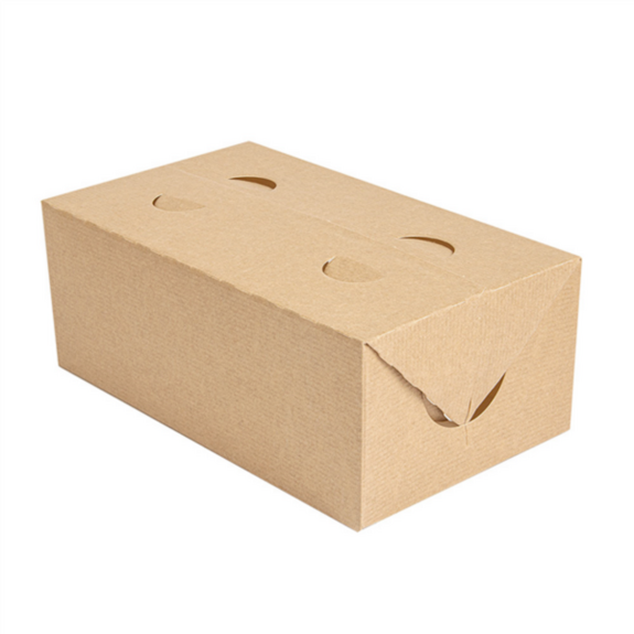 Boîte Take Away en carton kraft 2 litres - Carton de 300 unités