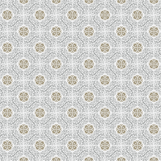 Set de table Soft 30x40 cm texture Dry Tissue ALLURE - carton de 800 unités