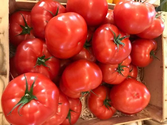 TOMATES RONDE lot de 5
