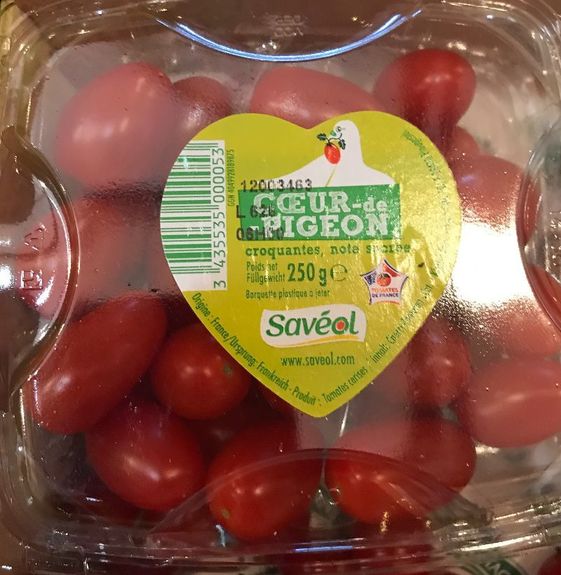 TOMATE COEUR DE PIGEON