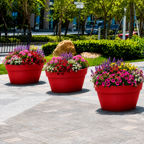Roméo Bowl Planter
