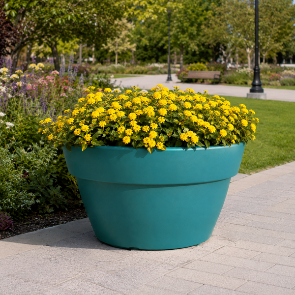 Roméo Bowl Planter