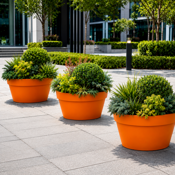 Roméo Bowl Planter