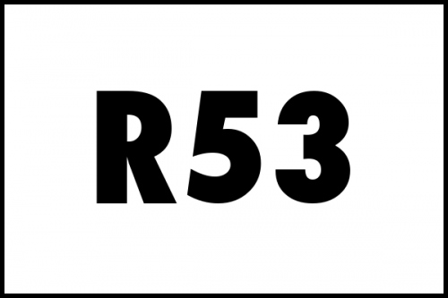 Ragazzon R53 Échappements Ragazzon pour Mini Cooper S R53