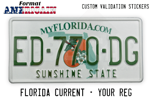 US MYFLORIDA.COM CURRENT EMBOSSED REFLECTIVE ALUMINUM LICENSE PLATE, STANDARD BORDER, SIZE 12x6" / 300x150 MM