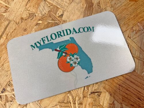 PLAQUE MOTO US EMBOUTIE FLORIDE MyFlorida, 178x102 MM / 7x4"
