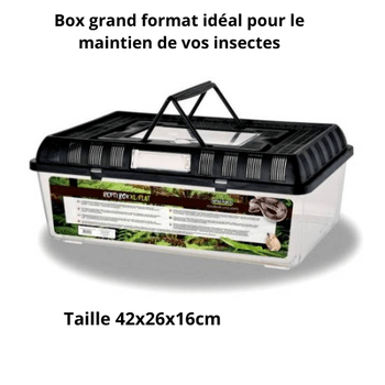 Fauna box,boites d'élevage
