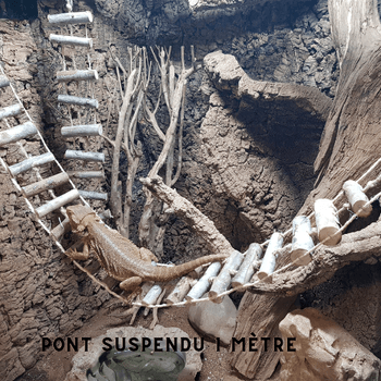 Pont suspendu