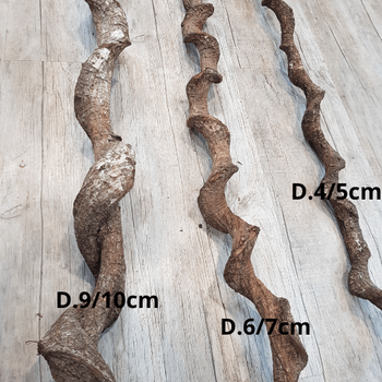 Lianes tropicales torsadées 1 mètre 23.90€