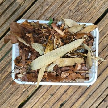 Mélange de feuilles spécial cloportes