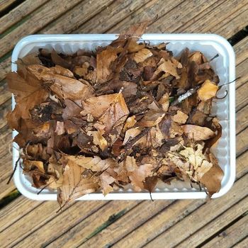 Mélange de feuilles spécial iules