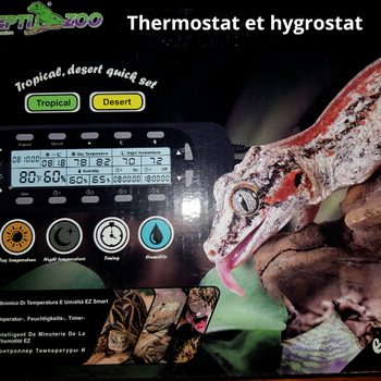 Thermostat réglage jour/nuit + timer