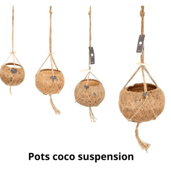 Pot en  coco en suspension à 9.90€