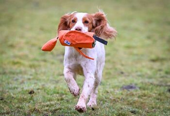 Dummy pour lanceur Oiseau
