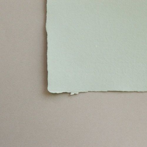 Feuille De Couleur Unie Vert Tabellion Format Raisin Feuille De Couleur Unie Vert Tabellion Format Raisin