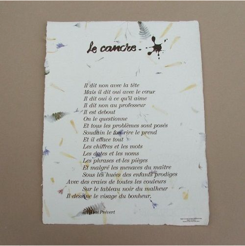 CANCRE LE J PR VERT 25 33 FLEURS POEME cancre-le-j-pr-vert-25-33-fleurs-poeme
