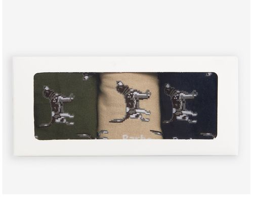 Chaussettes pointer forest mist