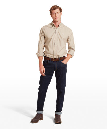 Chemise oxford Cavendish 3 coloris