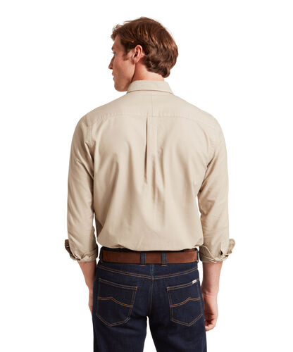 Chemise oxford Cavendish 3 coloris