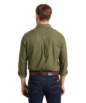 Chemise oxford Cavendish 3 coloris