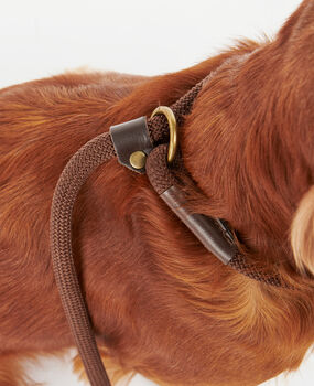 Laisse coulissante tartan