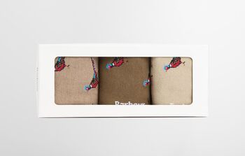 Chaussettes FAISANS trench