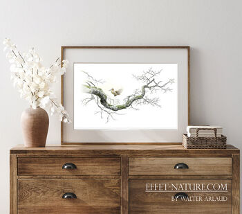 Tirage fine art étude Voltige