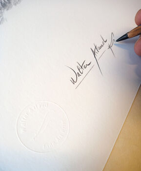 Tirage fine art étude Voltige