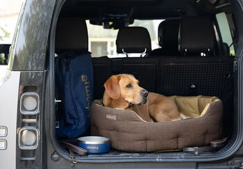 Tweed dog buster mocha bed 3 size