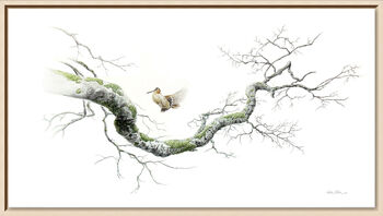 Limited edition large-format print on stretched canvas of the artwork Voltige