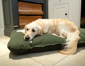 Tweed dog pine green cushion 2 size